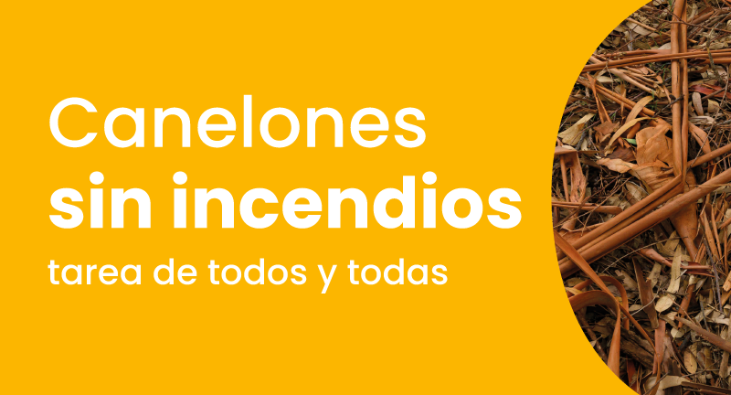 Texto descriptivo de la imagen