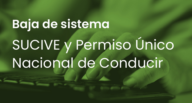 Texto descriptivo de la imagen