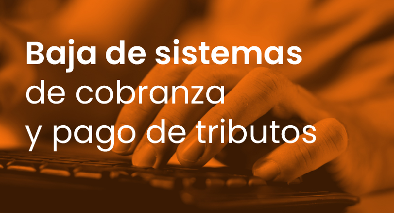 Texto descriptivo de la imagen