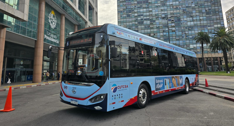 Texto descriptivo de la imagen