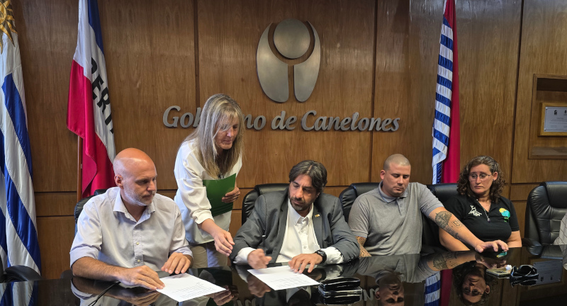 Texto descriptivo de la imagen