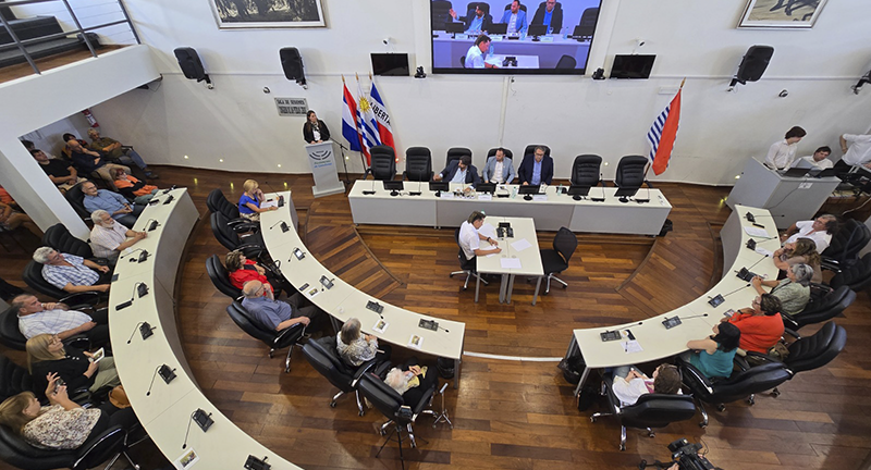 Texto descriptivo de la imagen