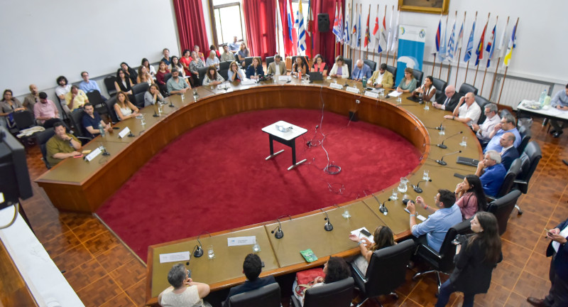 Texto descriptivo de la imagen