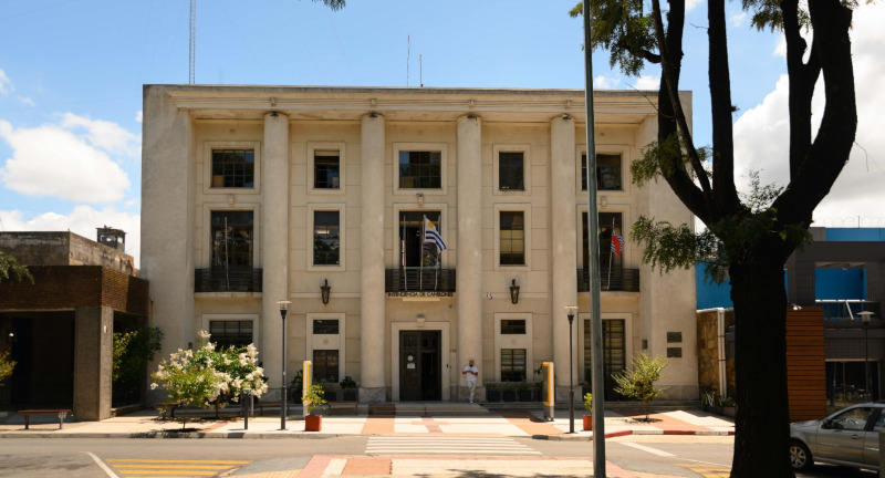 Texto descriptivo de la imagen