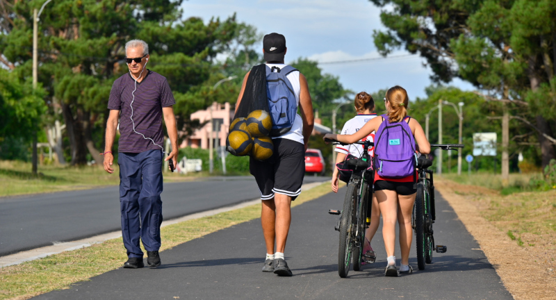 Texto descriptivo de la imagen