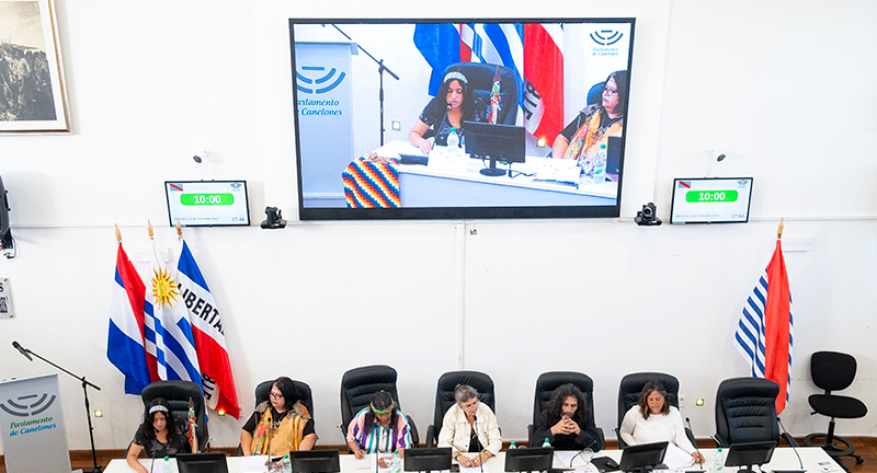 Texto descriptivo de la imagen