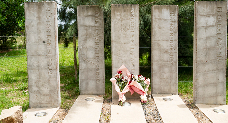 Texto descriptivo de la imagen