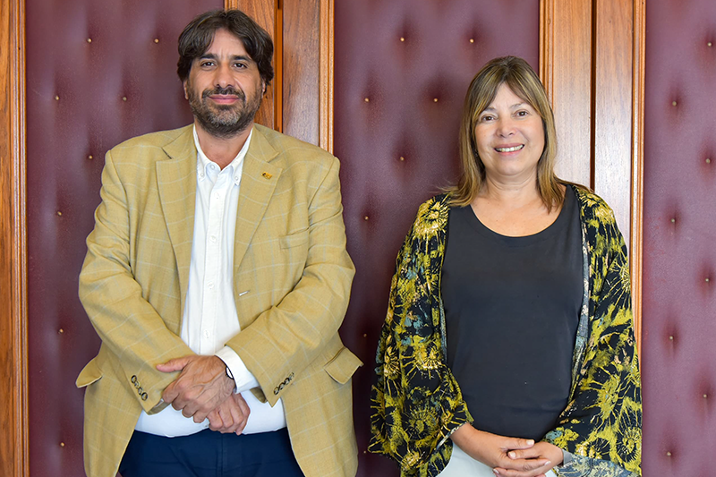 Texto descriptivo de la imagen