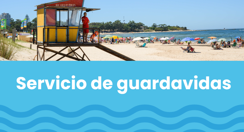 Texto descriptivo de la imagen