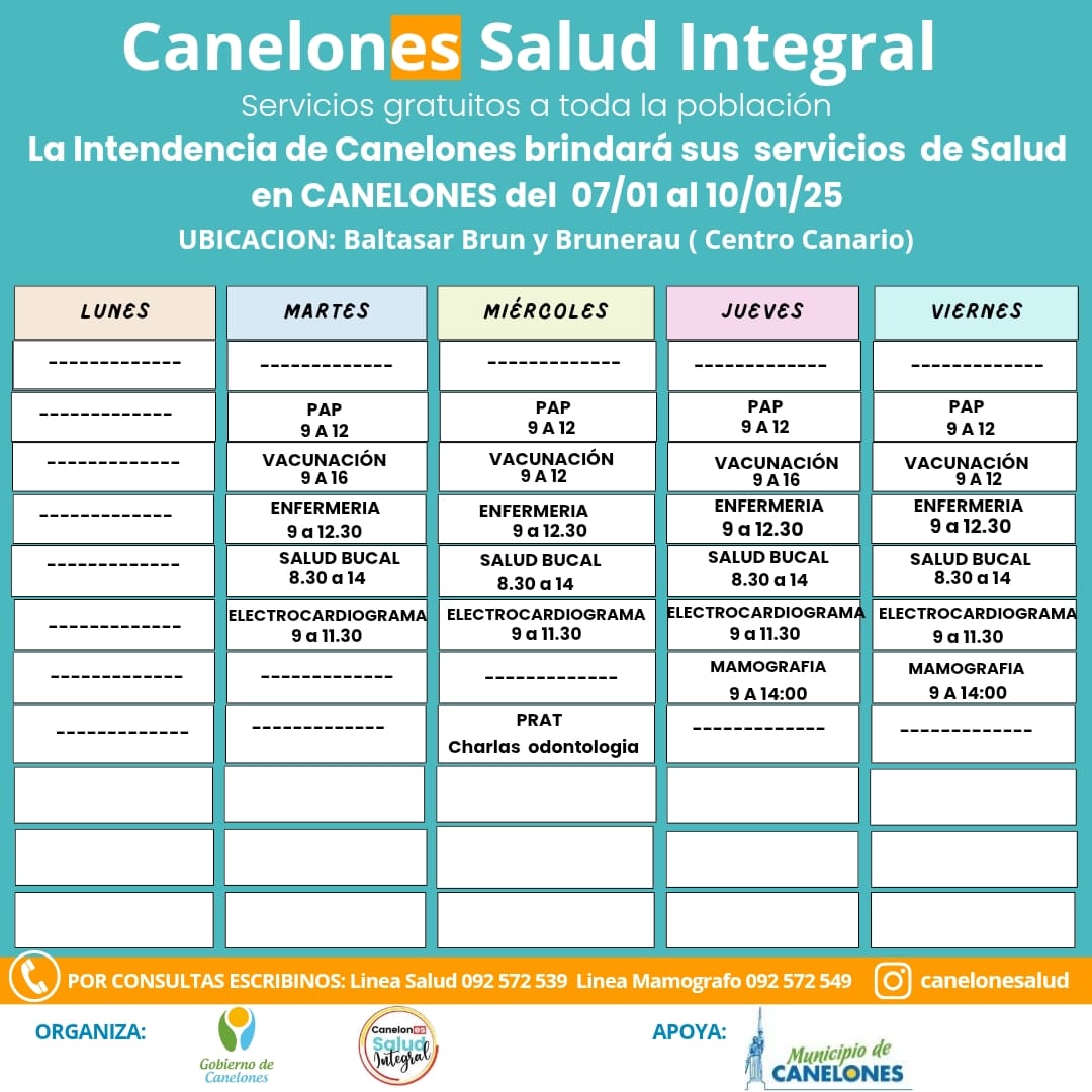 Texto descriptivo de la imagen