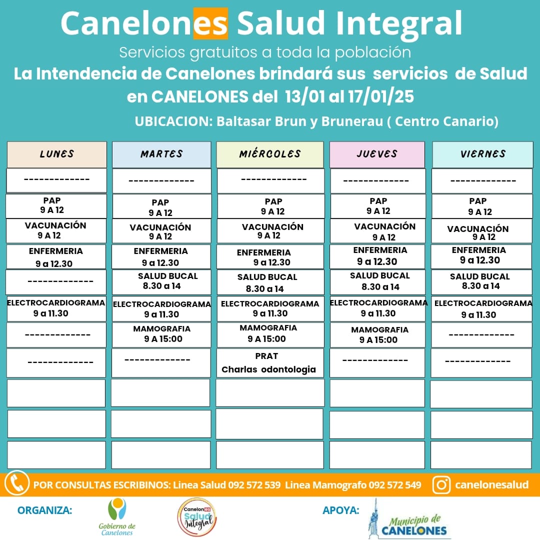 Texto descriptivo de la imagen