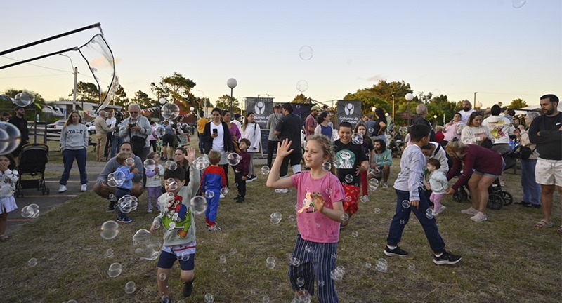 Texto descriptivo de la imagen