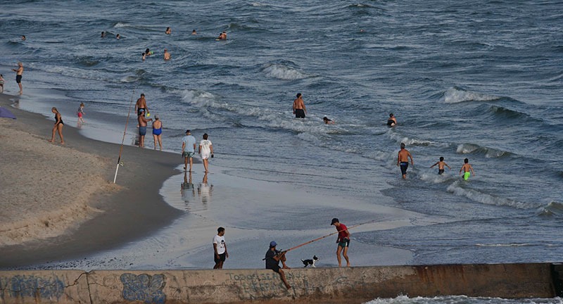 Texto descriptivo de la imagen