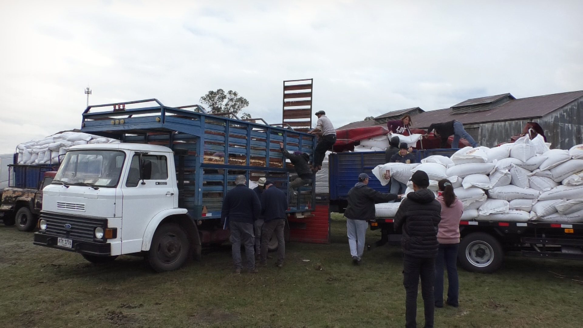 Intendencia realizó entrega de ración a productores afectados por el temporal del 17 de abril 