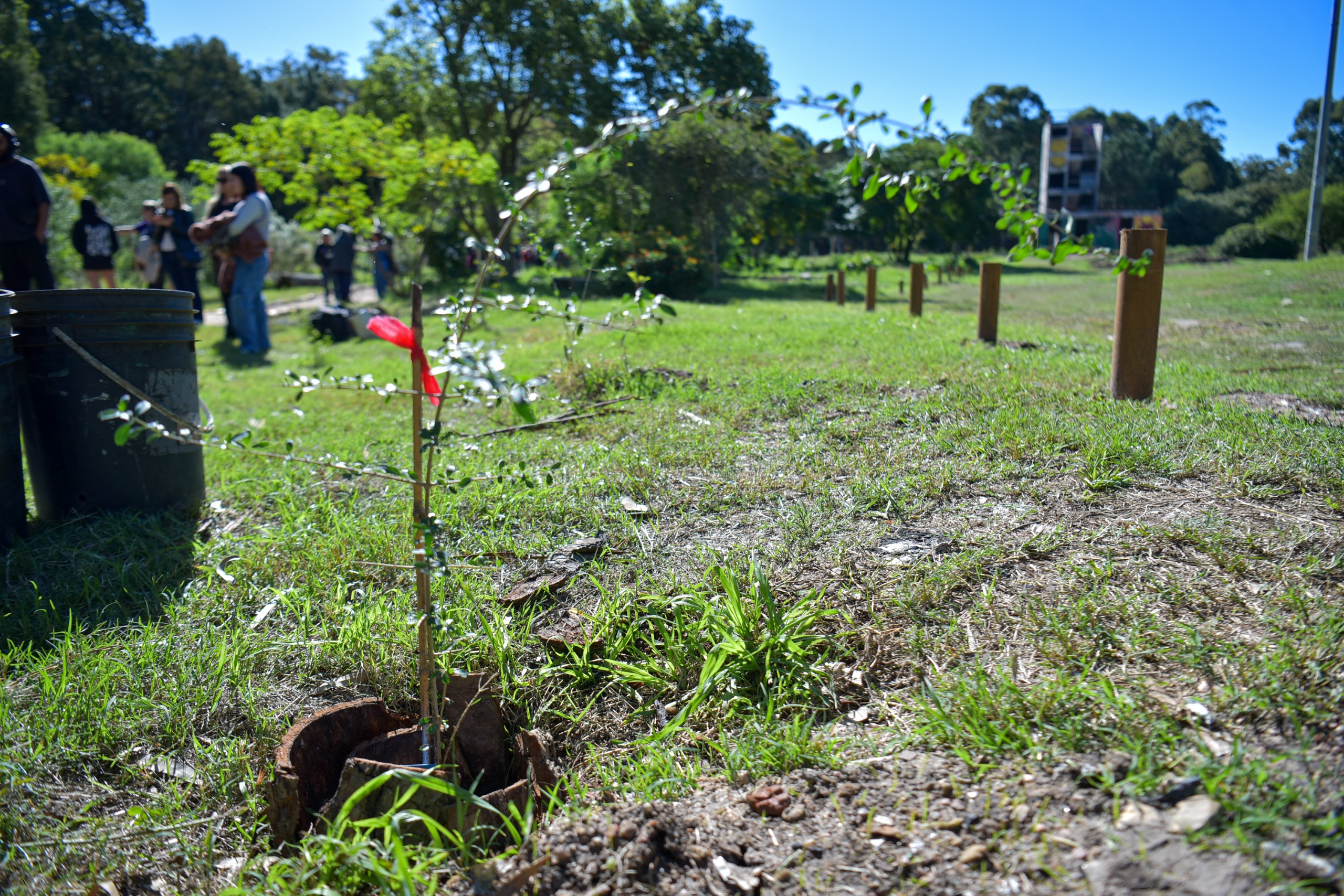 Avanza la construcción del Sendero de la Memoria del Parque Roosevelt