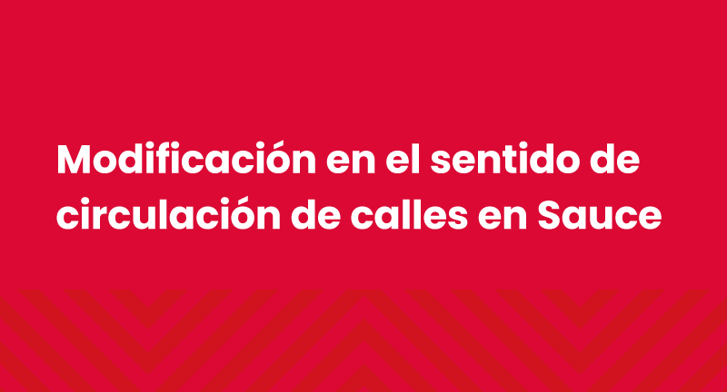 Texto descriptivo de la imagen