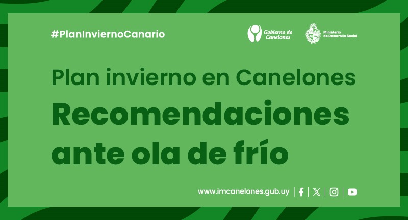 Texto descriptivo de la imagen