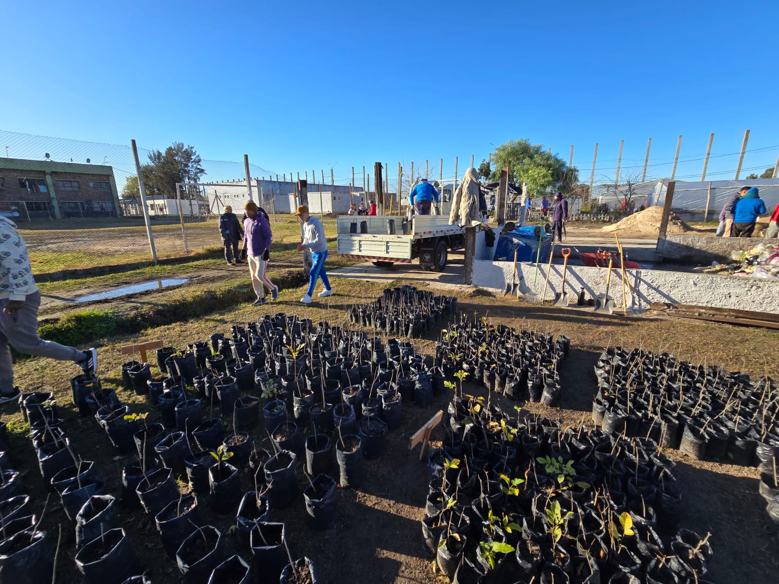 Convenio entre Intendencia de Canelones e INR permite avanzar en plantación de árboles para productores