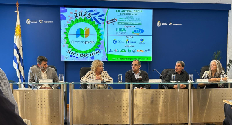 Texto descriptivo de la imagen