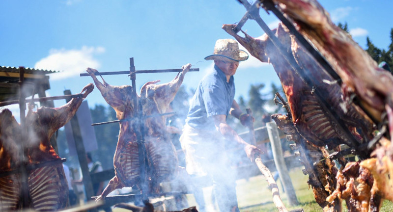 Texto descriptivo de la imagen