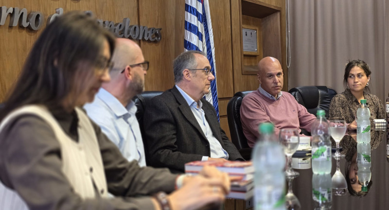 Texto descriptivo de la imagen