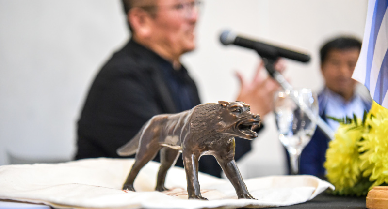 Texto descriptivo de la imagen