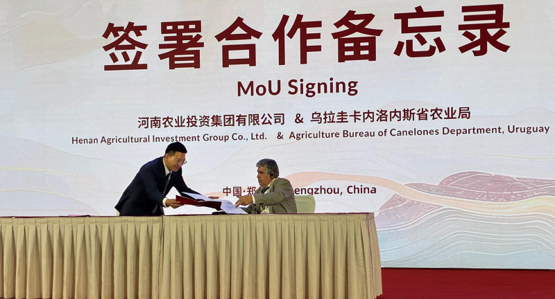 Texto descriptivo de la imagen