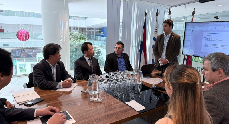 Texto descriptivo de la imagen