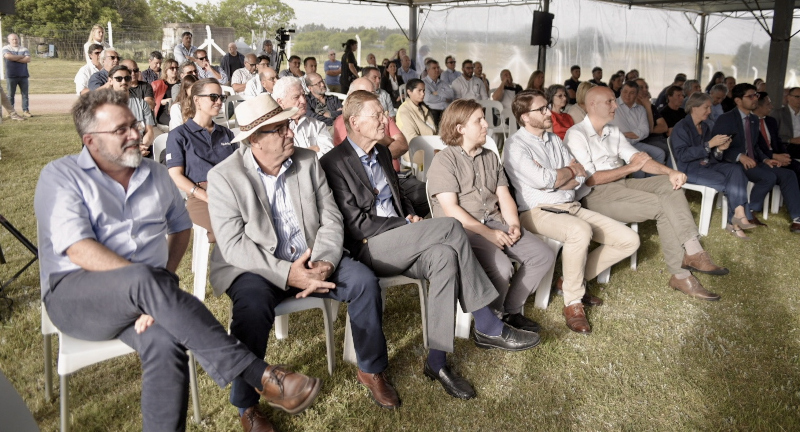 Texto descriptivo de la imagen