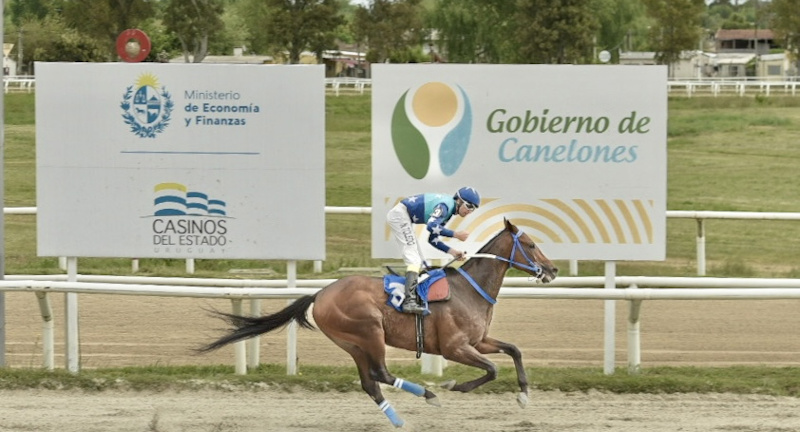 Texto descriptivo de la imagen