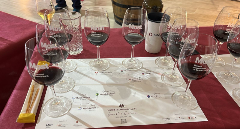 Texto descriptivo de la imagen