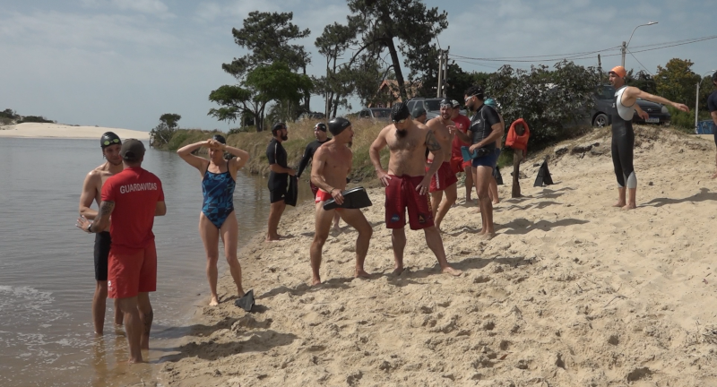 Texto descriptivo de la imagen