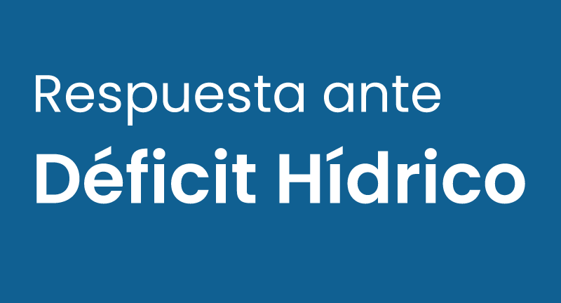 Texto descriptivo de la imagen