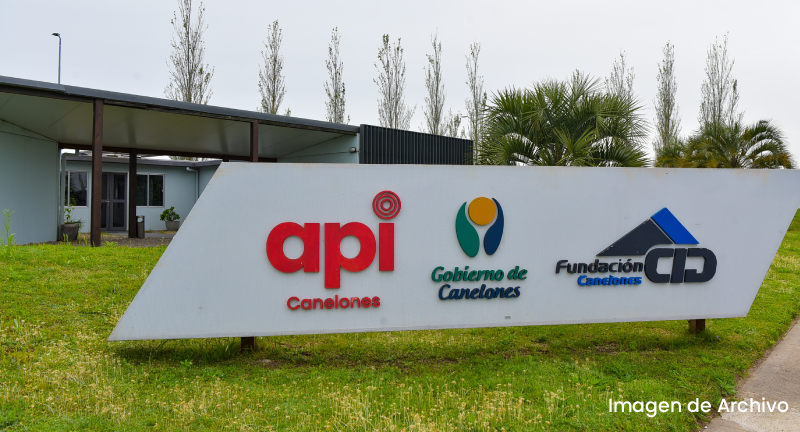 Texto descriptivo de la imagen