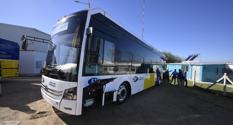 Texto descriptivo de la imagen