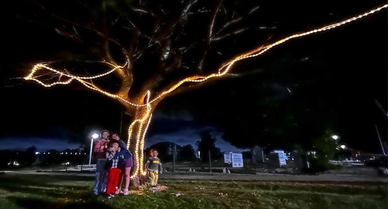 Texto descriptivo de la imagen