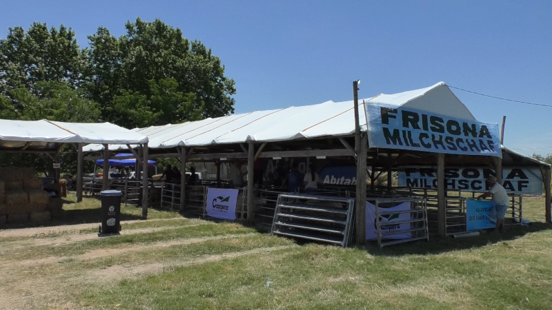 Texto descriptivo de la imagen