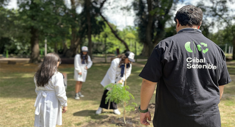 Texto descriptivo de la imagen