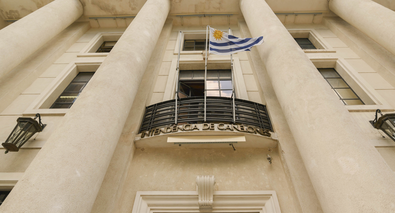 Texto descriptivo de la imagen