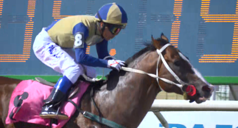 Texto descriptivo de la imagen