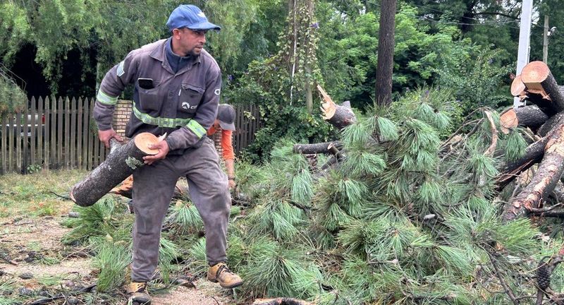 Texto descriptivo de la imagen