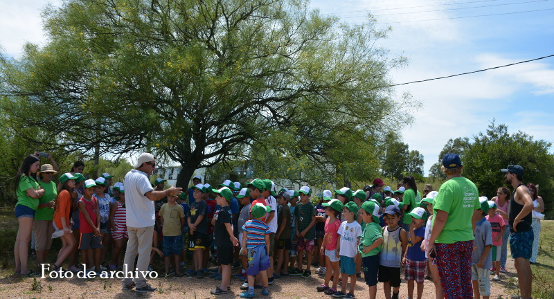 Texto descriptivo de la imagen