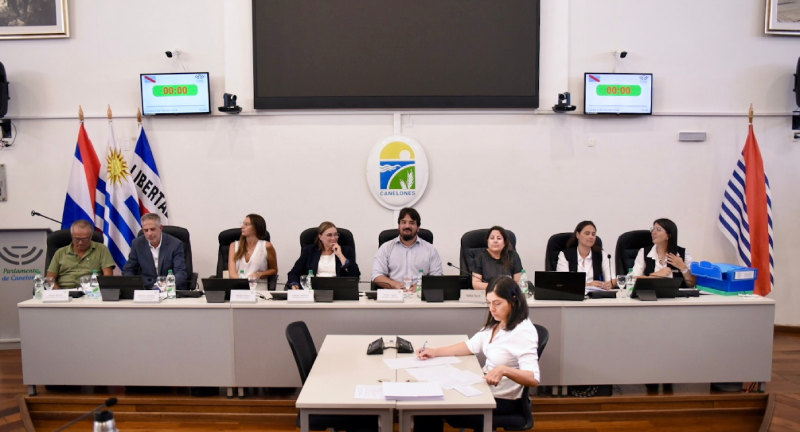 Texto descriptivo de la imagen