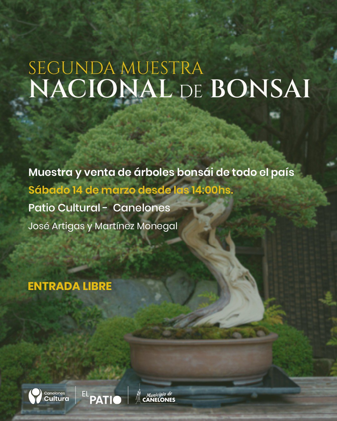 Texto descriptivo de la imagen