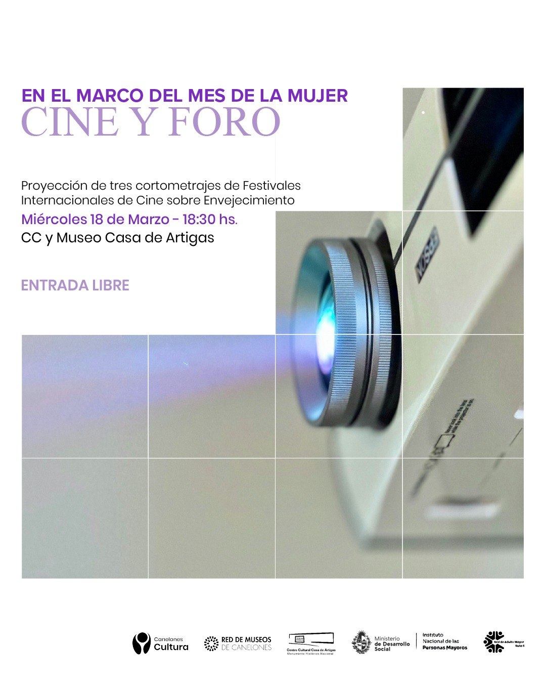 Texto descriptivo de la imagen