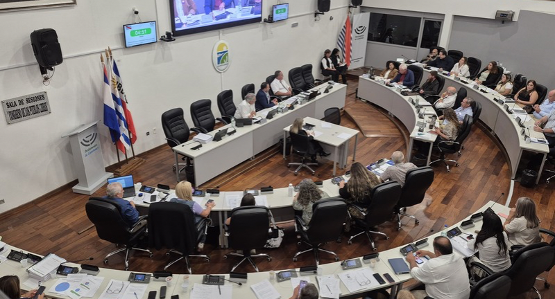 Texto descriptivo de la imagen