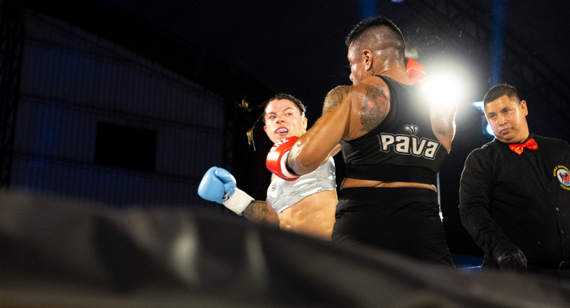 Texto descriptivo de la imagen