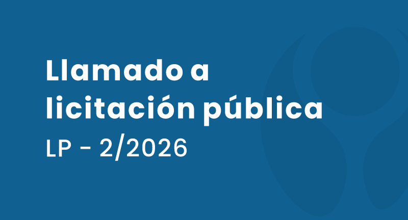 Texto descriptivo de la imagen