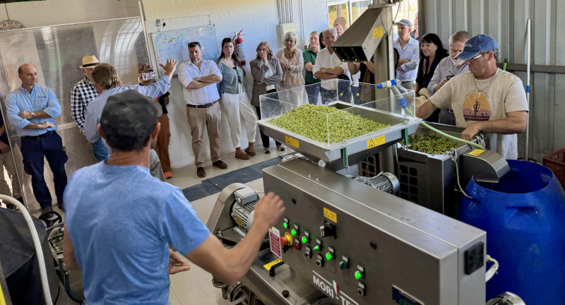 Texto descriptivo de la imagen