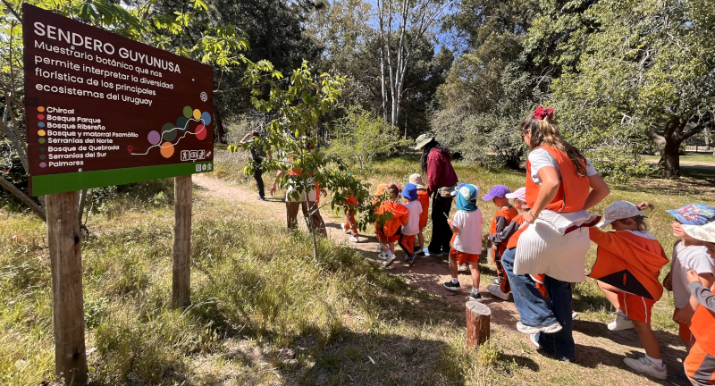 Texto descriptivo de la imagen